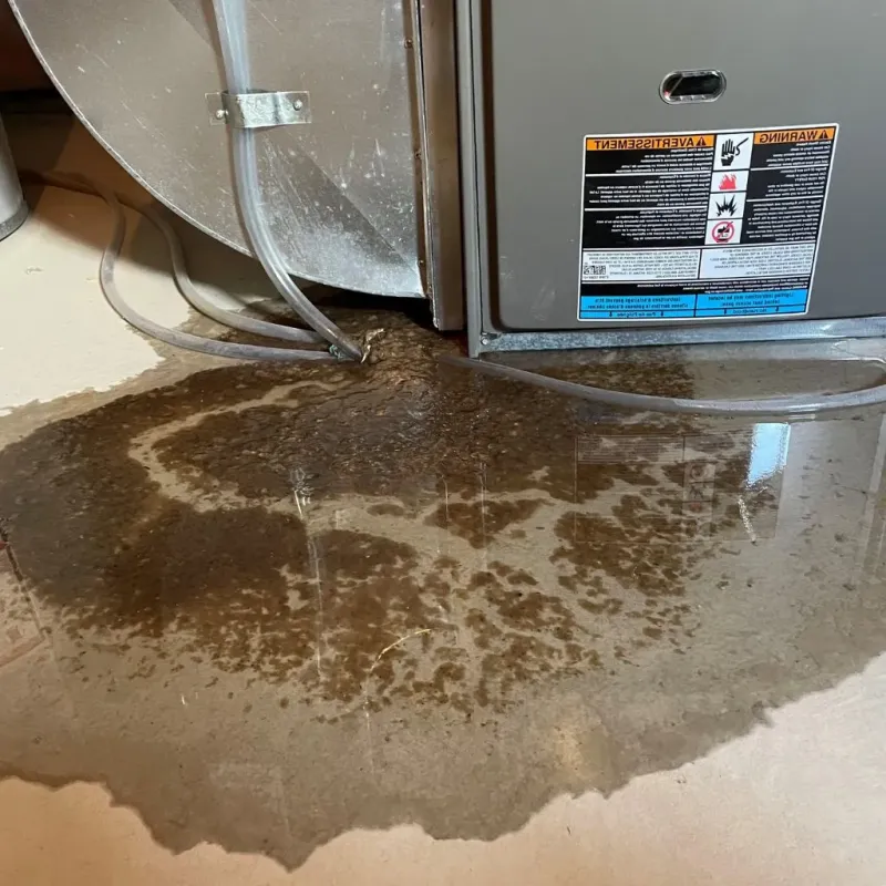 Pipe Burst and Leak Restoration in Tahlequah, OK